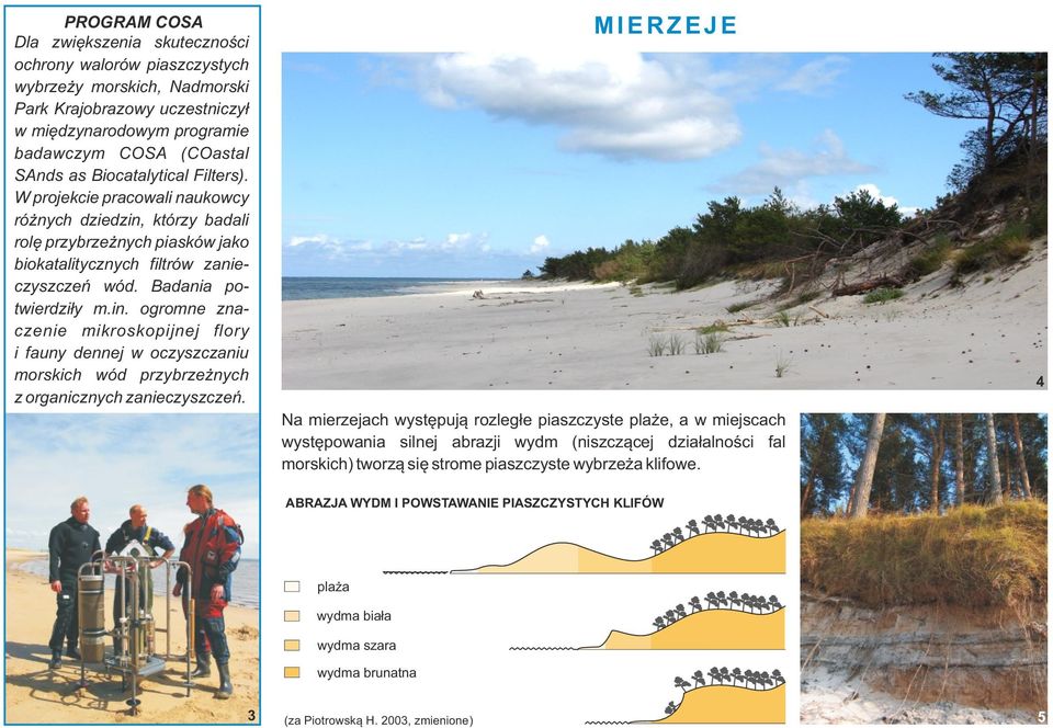 M I E R Z E J E Na mierzejach występują rozległe piaszczyste plaże, a w miejscach występowania silnej abrazji wydm (niszczącej działalności fal morskich) tworzą się strome piaszczyste wybrzeża