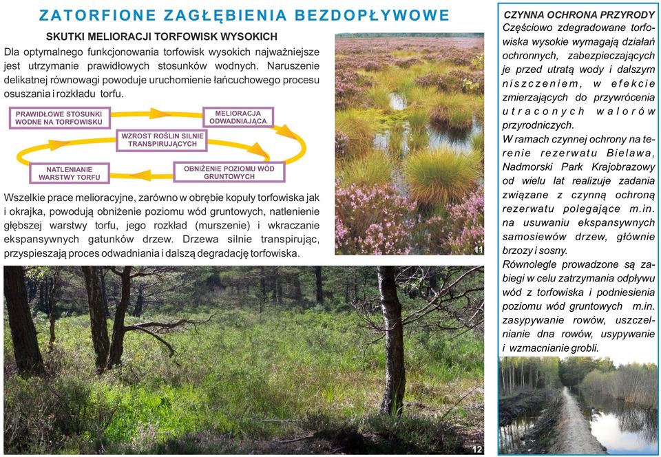 PRAWIDŁOWE STOSUNKI WODNE NA TORFOWISKU NATLENIANIE WARSTWY TORFU WZROST ROŚLIN SILNIE TRANSPIRUJĄCYCH MELIORACJA ODWADNIAJĄCA OBNIŻENIE POZIOMU WÓD GRUNTOWYCH Wszelkie prace melioracyjne, zarówno w