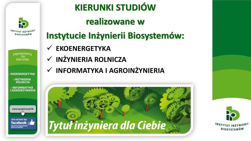 Biosystemów: EKOENERGETYKA