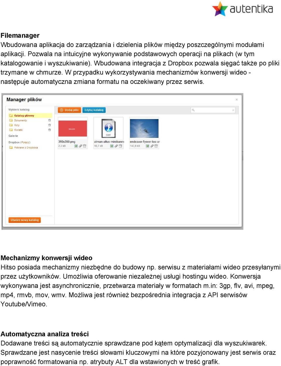 W przypadku wykorzystywania mechanizmów konwersji wideo następuje automatyczna zmiana formatu na oczekiwany przez serwis. Mechanizmy konwersji wideo Hitso posiada mechanizmy niezbędne do budowy np.