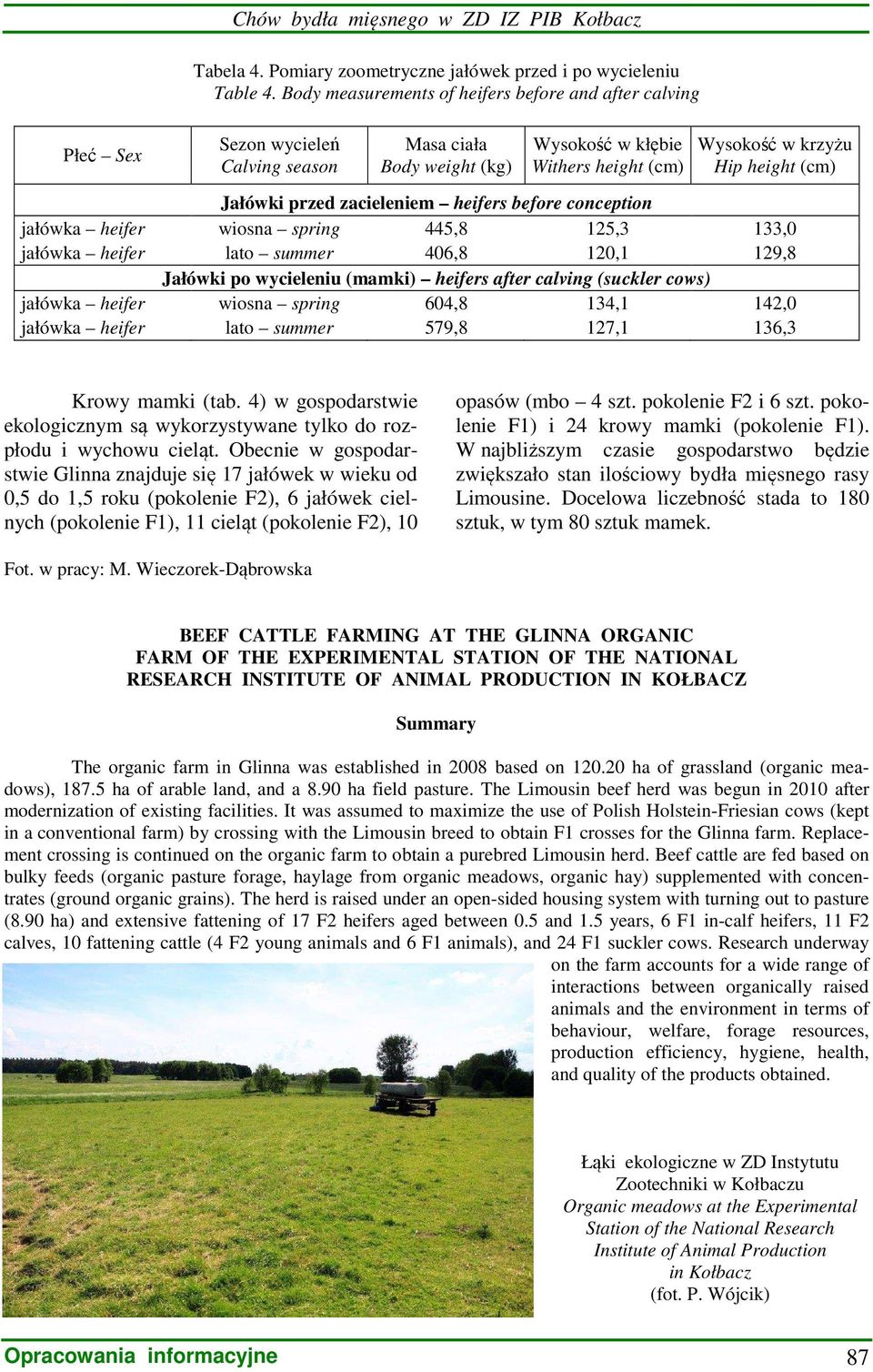 heifers before conception jałówka heifer wiosna spring 445,8 125,3 133,0 jałówka heifer lato summer 406,8 120,1 129,8 Jałówki po wycieleniu (mamki) heifers after calving (suckler cows) jałówka heifer