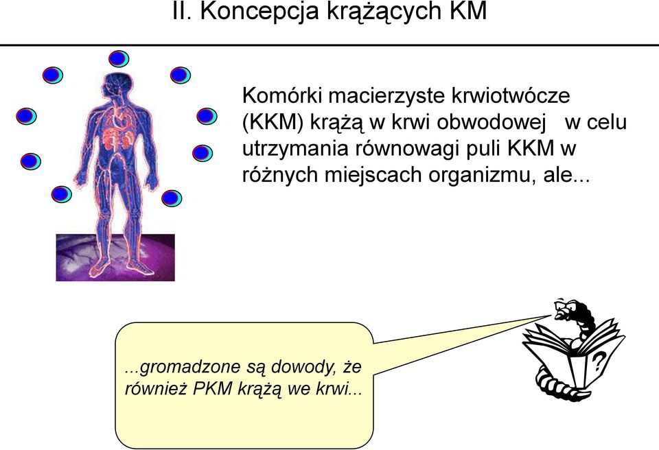 utrzymania równowagi puli KKM w różnych miejscach