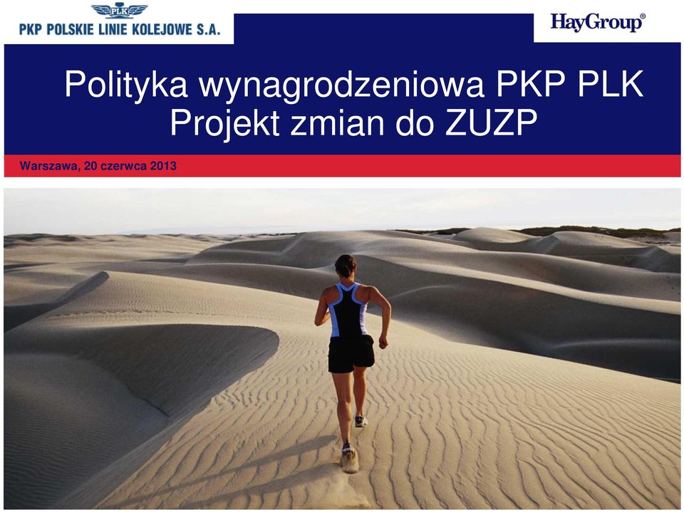 PLK Projekt zmian