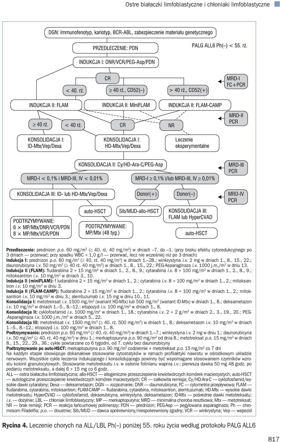 28.; winkrystyna i.v. 2 mg w dniach 1., 8., 15., 22.; daunorubicyna i.v. 50 mg/m 2 ( 40 rż. 40 mg/m 2 ) w dniach 1., 8., 15., 22.; PEG-Asparaginaza i.v. 1000 j.m./m 2 w dniu 13.