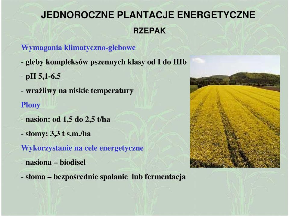 temperatury Plony - nasion: od 1,5 do 2,5 t/ha - słomy: 3,3 t s.m./ha