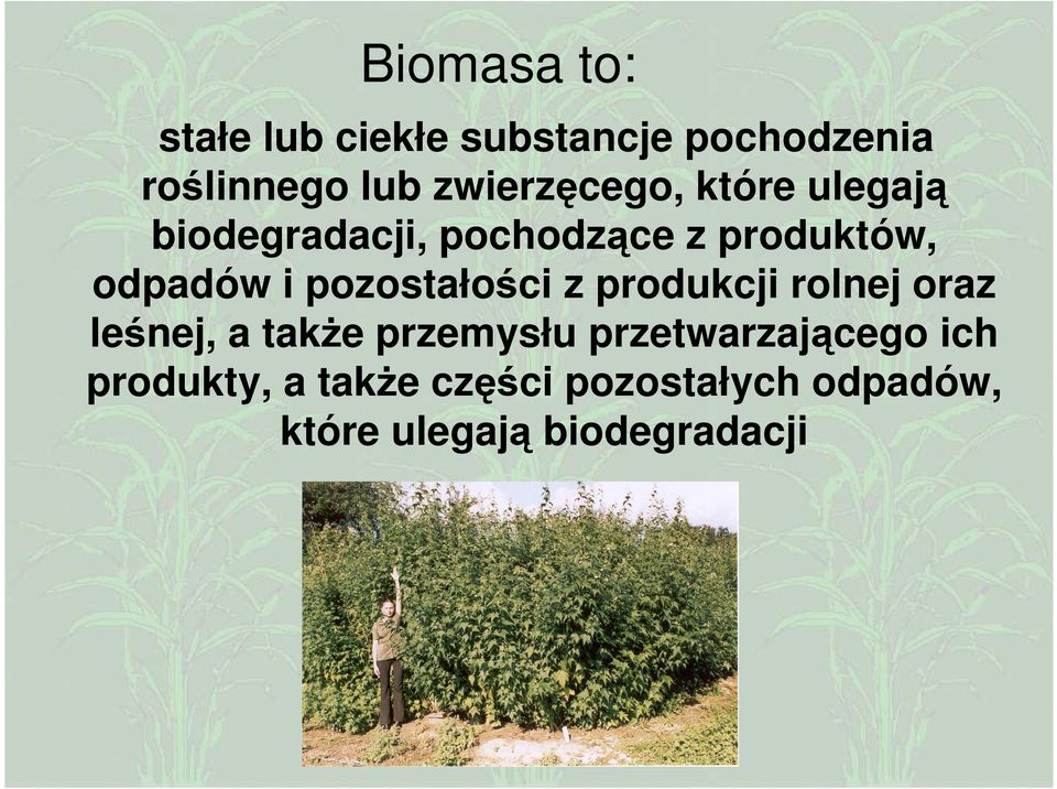 i pozostałości z produkcji rolnej oraz leśnej, a takŝe przemysłu