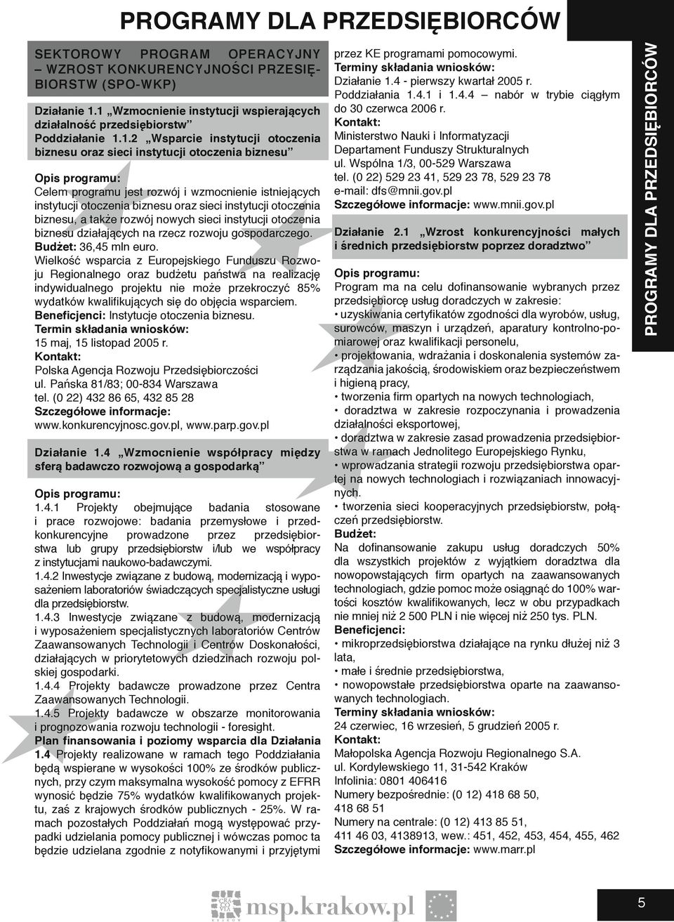 rozwój i wzmocnienie istniejących instytucji otoczenia biznesu oraz sieci instytucji otoczenia biznesu, a także rozwój nowych sieci instytucji otoczenia biznesu działających na rzecz rozwoju