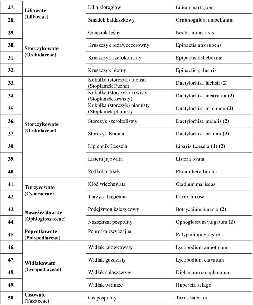 (Stoplamek Fucha) Kukułka (storczyk) krwisty (Stoplamek krwisty) Kukułka (storczyk) plamisty (Stoplamek plamisty) Dactylorhiza fuchsii (2) Dactylorhiza incarnata (2) Dactylorhiza maculata (2) 36.