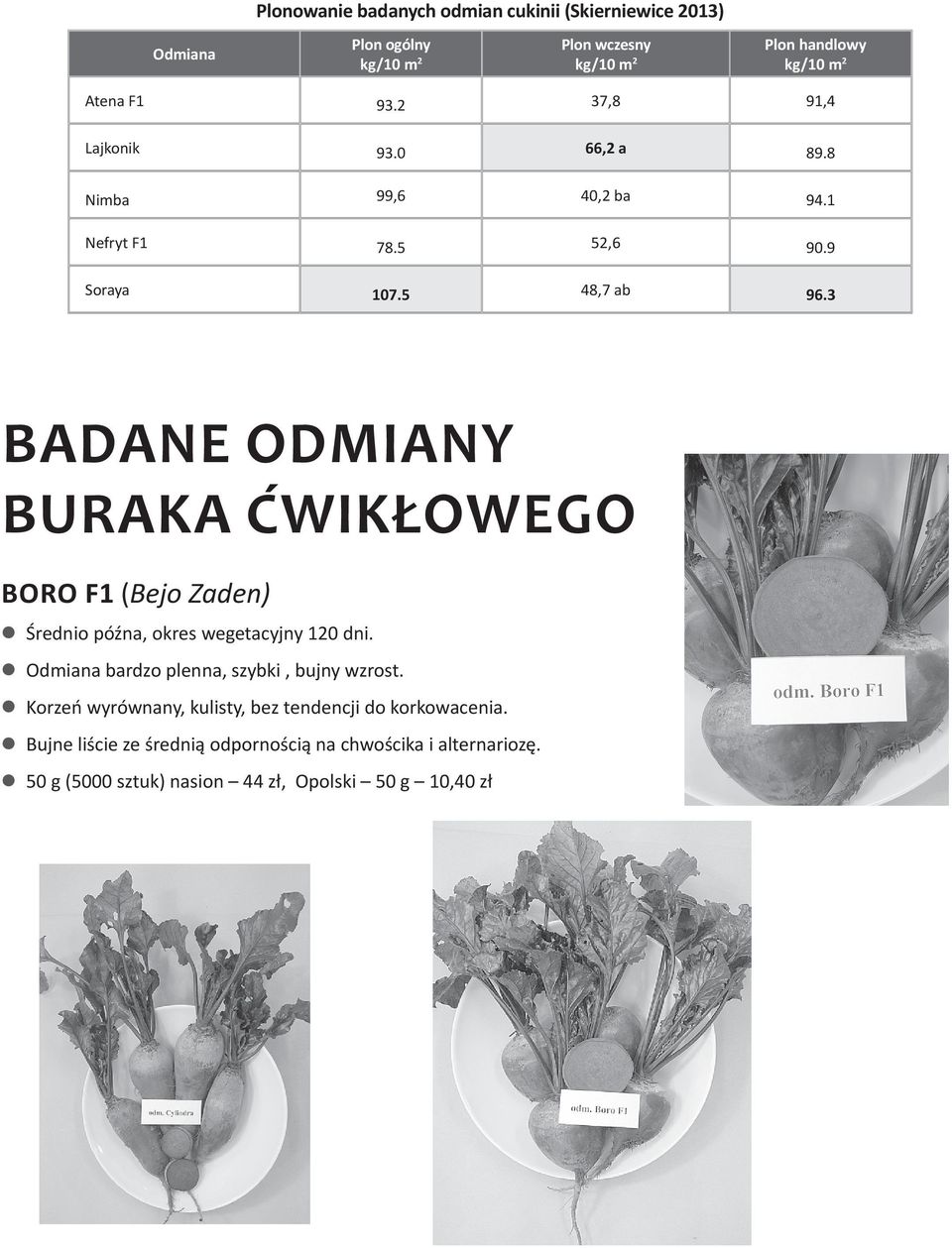 3 Badane odmiany buraka ćwikłowego Boro F1 (Bejo Zaden) Średnio późna, okres wegetacyjny 120 dni. Odmiana bardzo plenna, szybki, bujny wzrost.