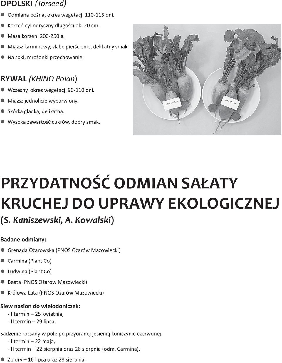 Przydatność odmian sałaty kruchej do uprawy ekologicznej (S. Kaniszewski, A.