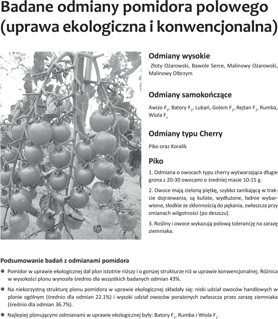 -30 owocami o średniej masie 10-15 g. 2.