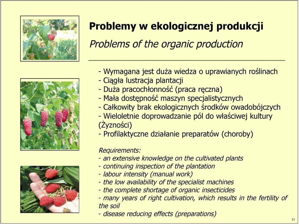 preparatów (choroby) Requirements: - an extensive knowledge on the cultivated plants - continuing inspection of the plantation - labour intensity (manual work) - the low availability of