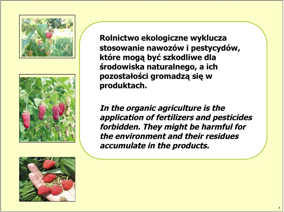 In the organic agriculture is the application of fertilizers and pesticides