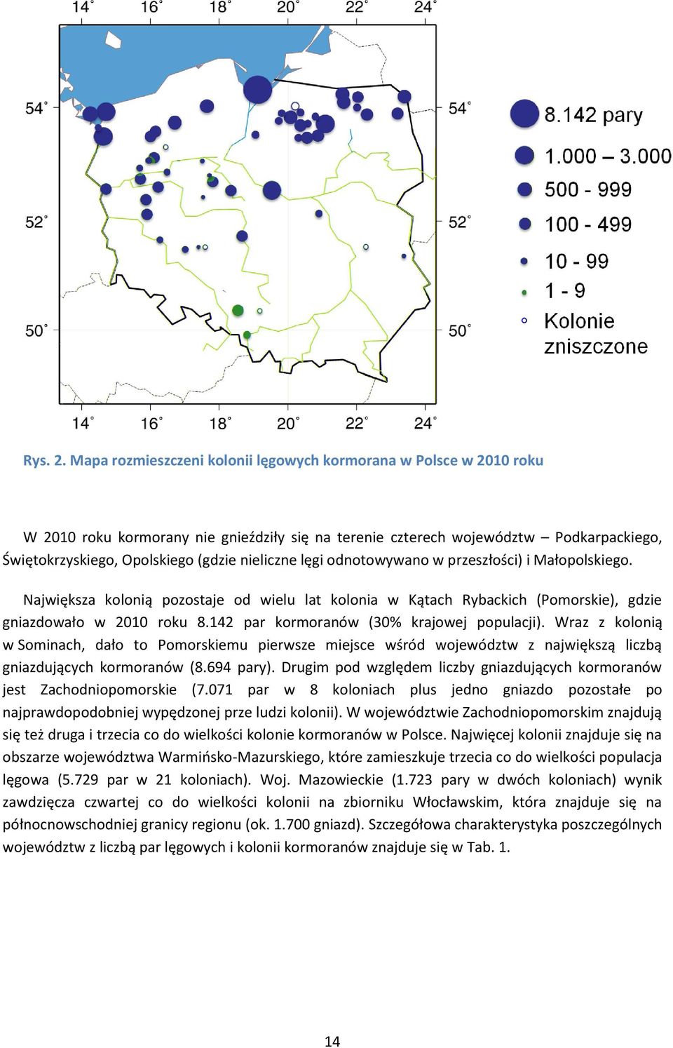 nieliczne lęgi odnotowywano w przeszłości) i Małopolskiego. Największa kolonią pozostaje od wielu lat kolonia w Kątach Rybackich (Pomorskie), gdzie gniazdowało w 2010 roku 8.