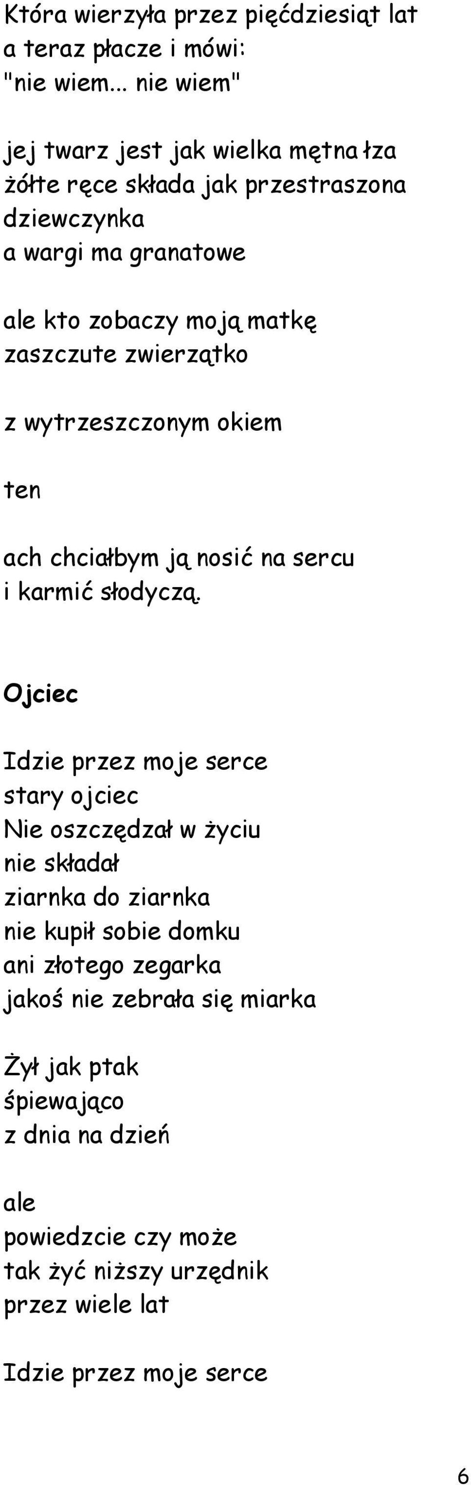 zaszczute zwierzątko z wytrzeszczonym okiem ten ach chciałbym ją nosić na sercu i karmić słodyczą.