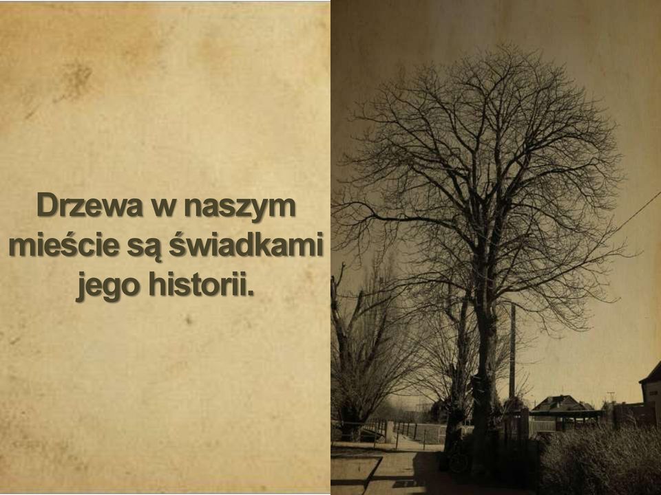 mieście są