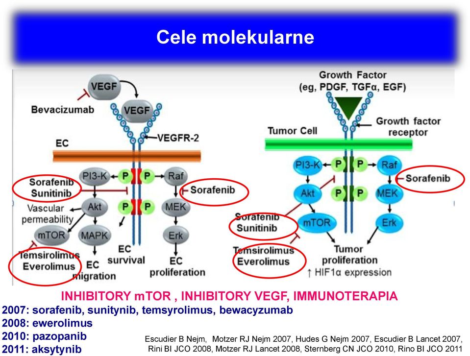 aksytynib Escudier B Nejm, Motzer RJ Nejm 2007, Hudes G Nejm 2007, Escudier B