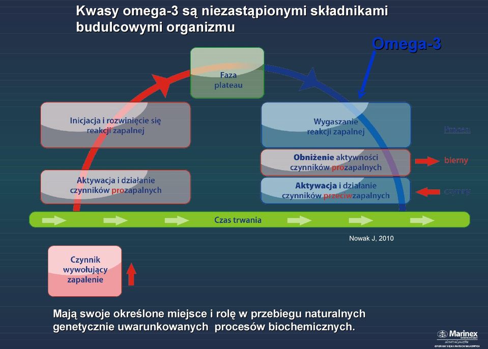 swoje określone miejsce i rolę w przebiegu