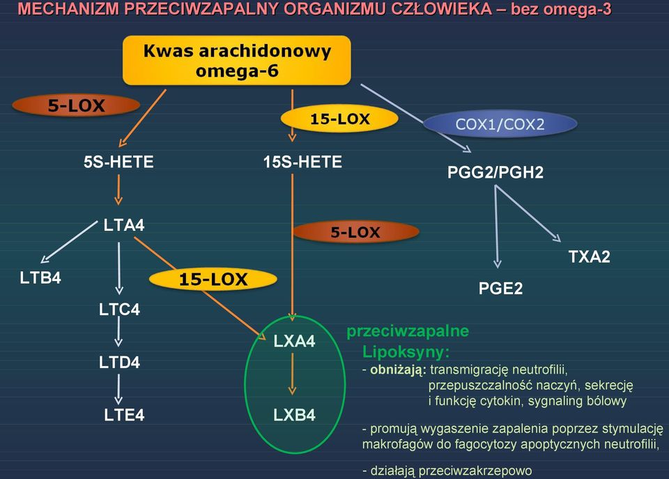 przepuszczalność naczyń, sekrecję i funkcję cytokin, sygnaling bólowy - promują wygaszenie