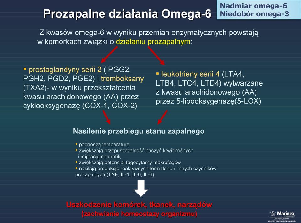 kwasu arachidonowego (AA) przez 5-lipooksygenazę(5-LOX) Nasilenie przebiegu stanu zapalnego podnoszą temperaturę zwiększają przepuszczalność naczyń krwionośnych i migrację neutrofili, zwiększają