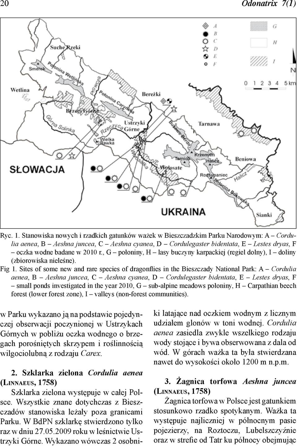 r., G połoniny, H lasy buczyny karpackiej (regiel dolny), I doliny (zbiorowiska nieleśne). Fig 1.