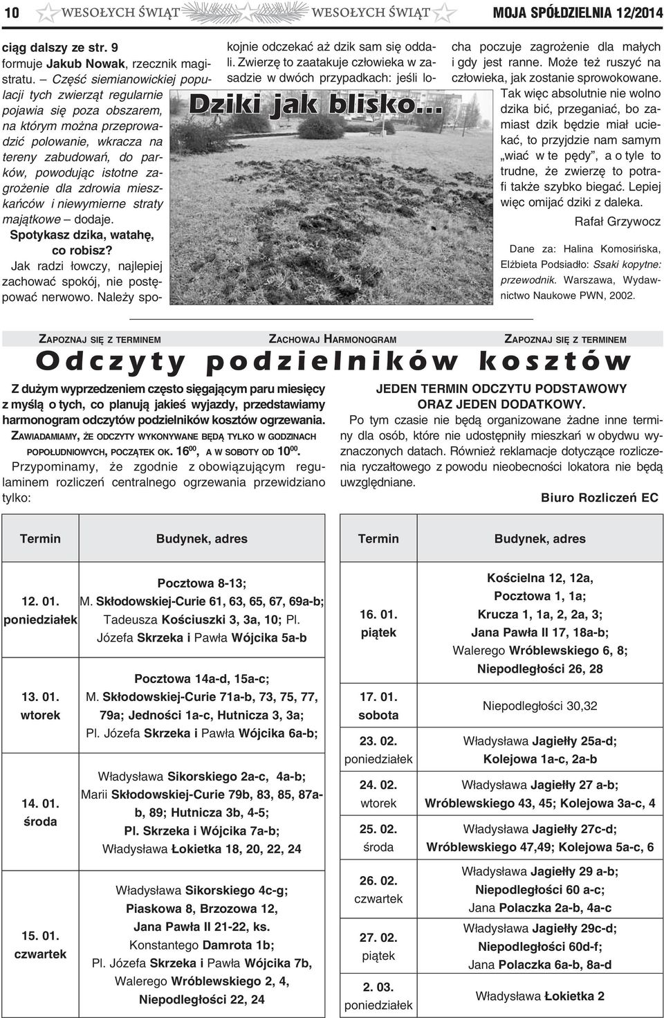 zdrowia mieszkańców i niewymierne straty majątkowe dodaje. Spotykasz dzika, watahę, co robisz? Jak radzi łowczy, najlepiej zachować spokój, nie postępować nerwowo.