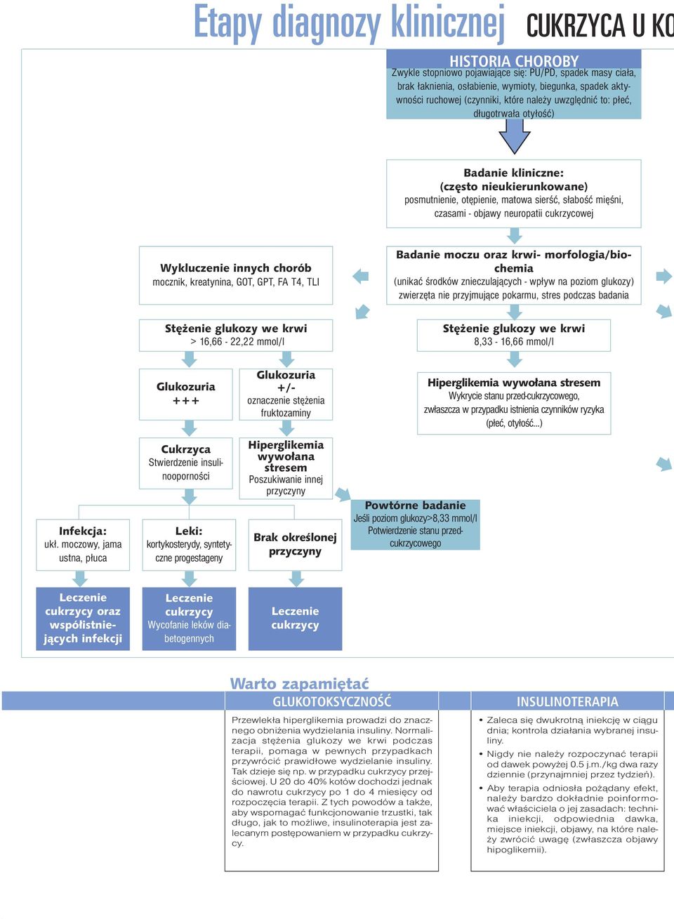 cukrzycowej Wykluczenie innych chorób mocznik, kreatynina, GOT, GPT, FA T4, TLI Badanie moczu oraz krwi- morfologia/biochemia (unikać środków znieczulających - wpływ na poziom glukozy) zwierzęta nie