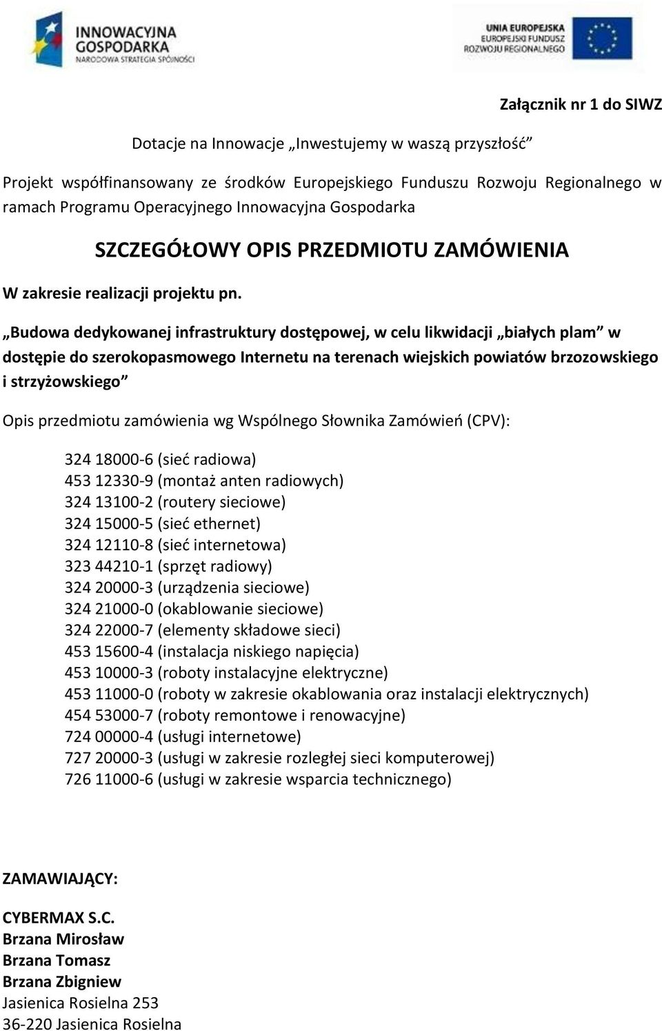 Budowa dedykowanej infrastruktury dostępowej, w celu likwidacji białych plam w dostępie do szerokopasmowego Internetu na terenach wiejskich powiatów brzozowskiego i strzyżowskiego Opis przedmiotu