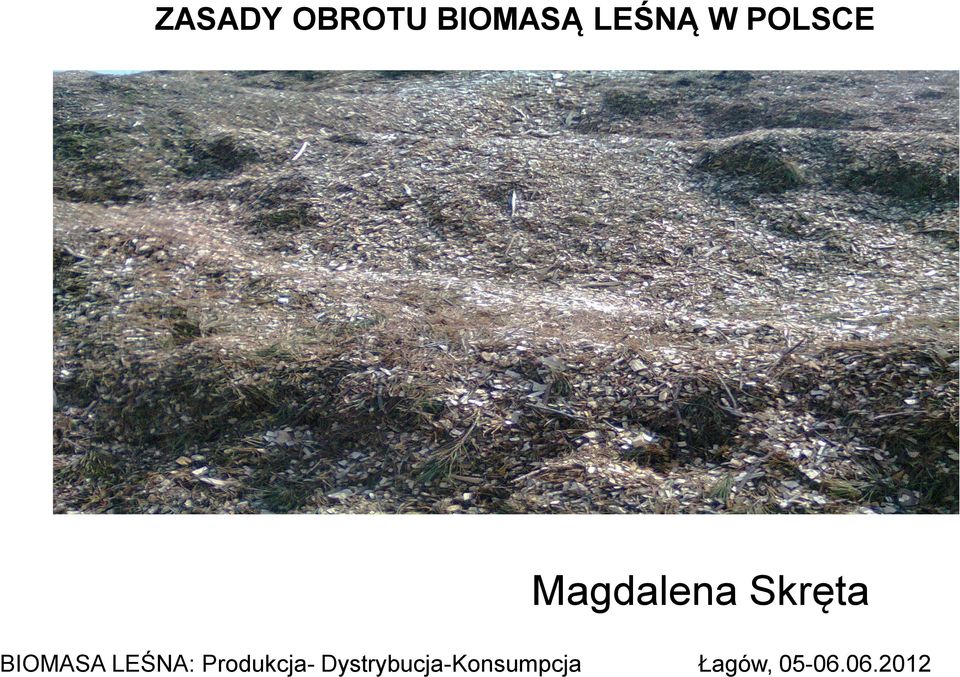 BIOMASA LEŚNA: Produkcja-