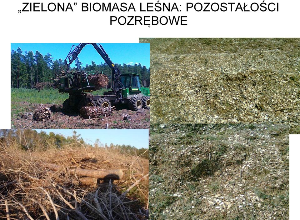 LEŚNA: