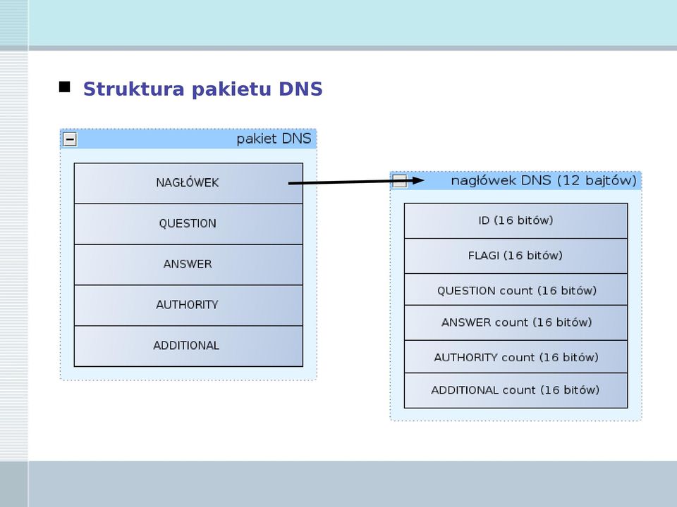 DNS