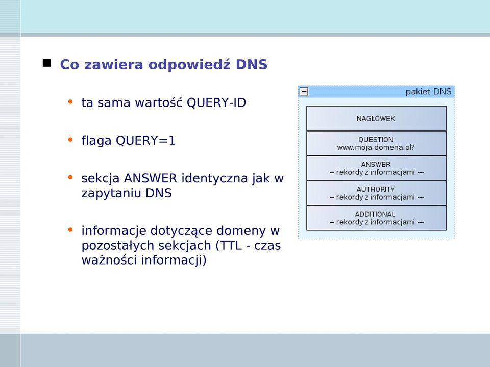 jak w zapytaniu DNS informacje dotyczące domeny