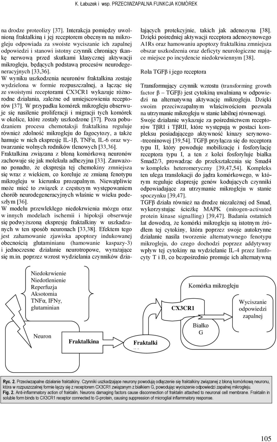 skutkami klasycznej aktywacji mikrogleju, będących podstawą procesów neurodegeneracyjnych [33,36].