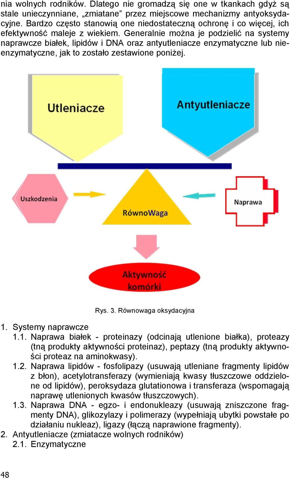 Generalnie mo na je podzieli na systemy naprawcze bia ek, lipidów i DNA oraz antyutleniacze enzymatyczne lub nieenzymatyczne, jak to zosta o zestawione poni ej. Rys. 3. Równowaga oksydacyjna 1.