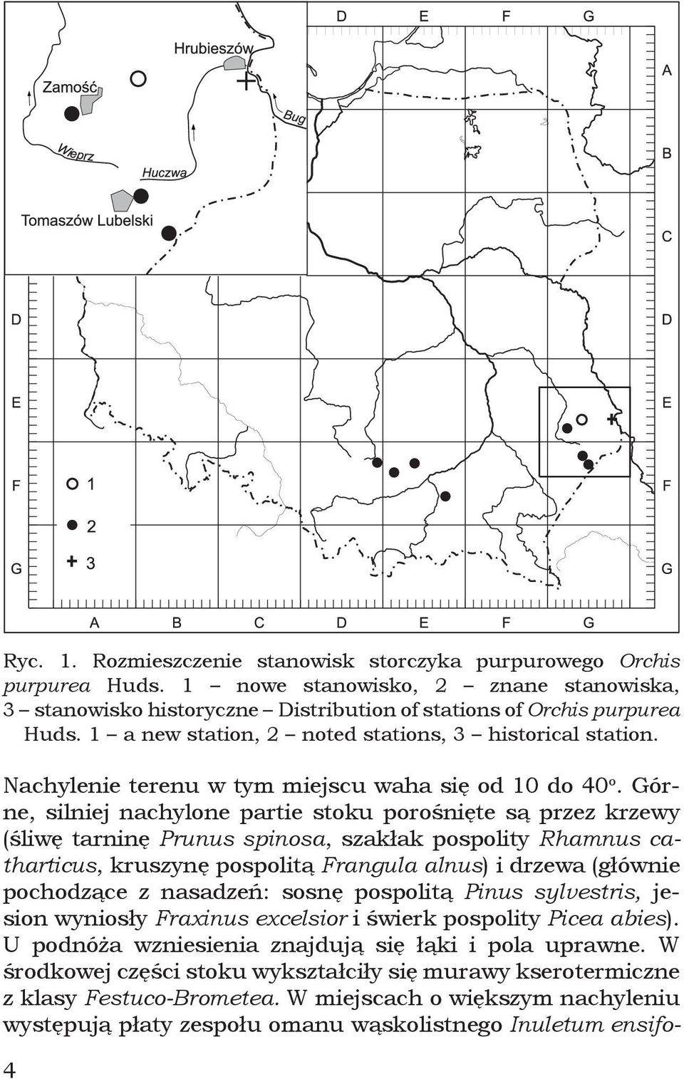 Górne, silniej nachylone partie stoku porośnięte są przez krzewy (śliwę tarninę Prunus spinosa, szakłak pospolity Rhamnus catharticus, kruszynę pospolitą Frangula alnus) i drzewa (głównie pochodzące