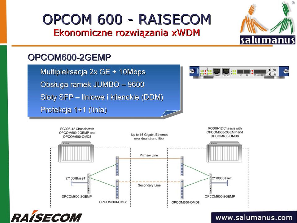 10Mbps Obsługa ramek JUMBO 9600 Sloty SFP