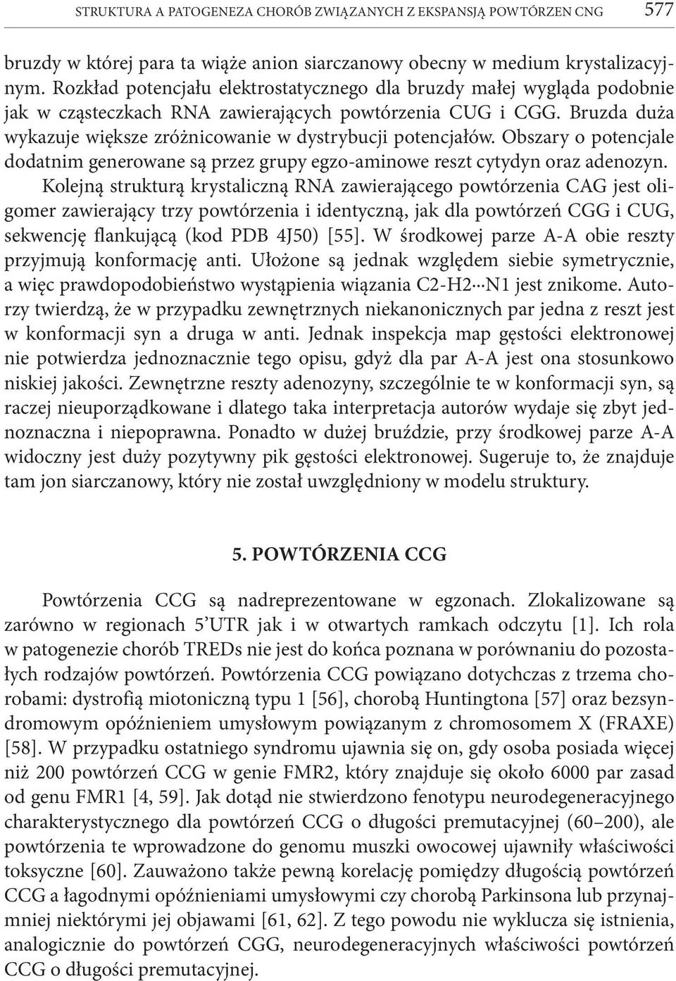 Bruzda duża wykazuje większe zróżnicowanie w dystrybucji potencjałów. Obszary o potencjale dodatnim generowane są przez grupy egzo-aminowe reszt cytydyn oraz adenozyn.