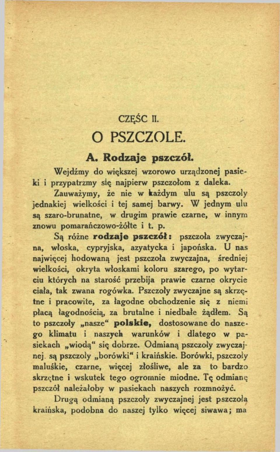 U nas najwięcej hodowaną jest pszczoła zwyczajna, średniej wielkości, okryta włoskami koloru szarego, po wytarciu których na starość przebija prawie czarne okrycie ciała, tak zwana rogówka.