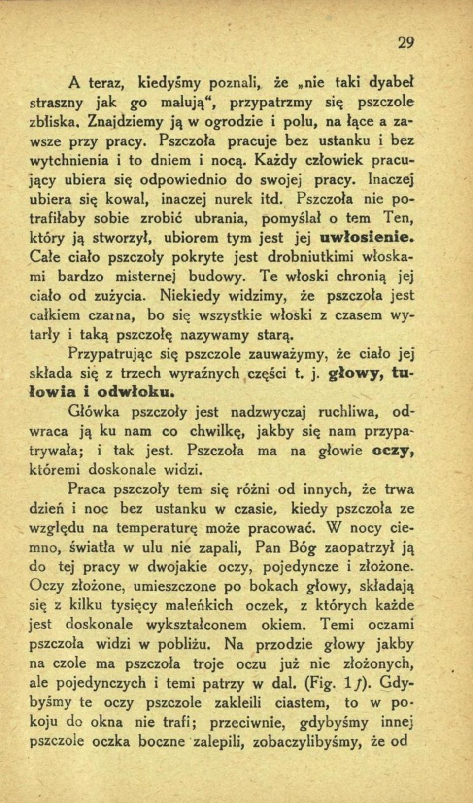 Pszczoła nie potrafiłaby sobie zrobić ubrania, pomyślał o tern Ten, który ją stworzył, ubiorem tym jest jej u w ło sien ie.