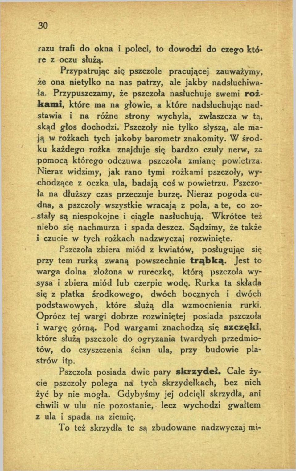 Pszczoły nie tylko słyszą, ale mają w rożkach tych jakoby barometr znakomity. W środku każdego rożka znajduje się bardzo czuły nerw, za pomocą którego odczuwa pszczoła zmianę powietrza.