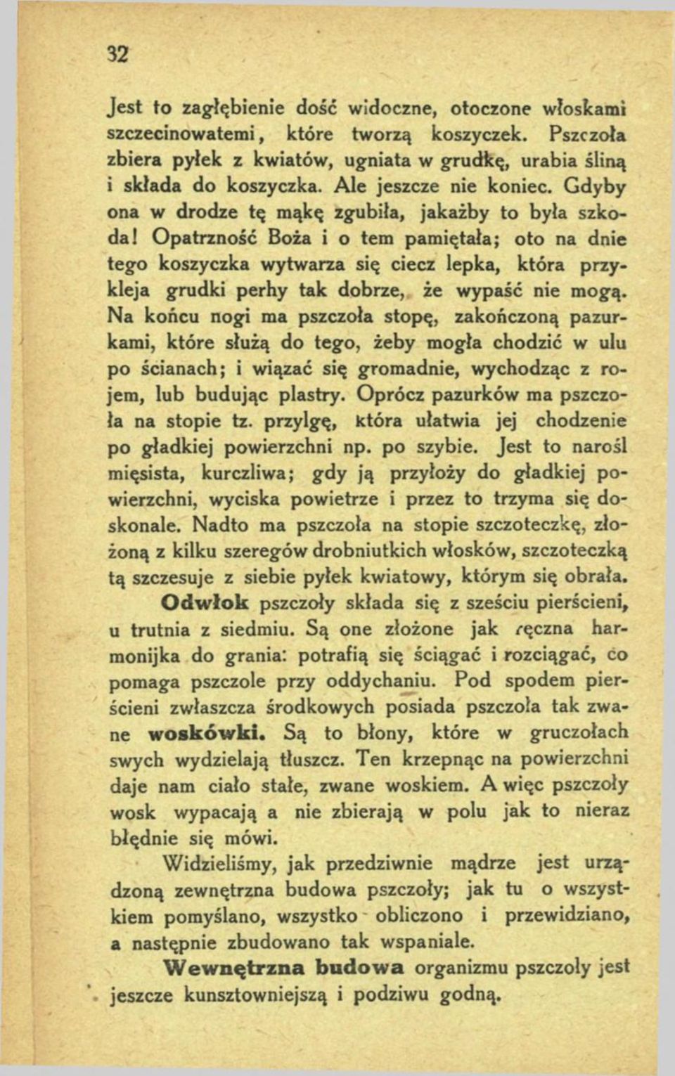 Opatrzność Boża i o tem pamiętała; oto na dnie tego koszyczka wytwarza się ciecz lepka, która przykleja grudki perhy tak dobrze, że wypaść nie mogą.