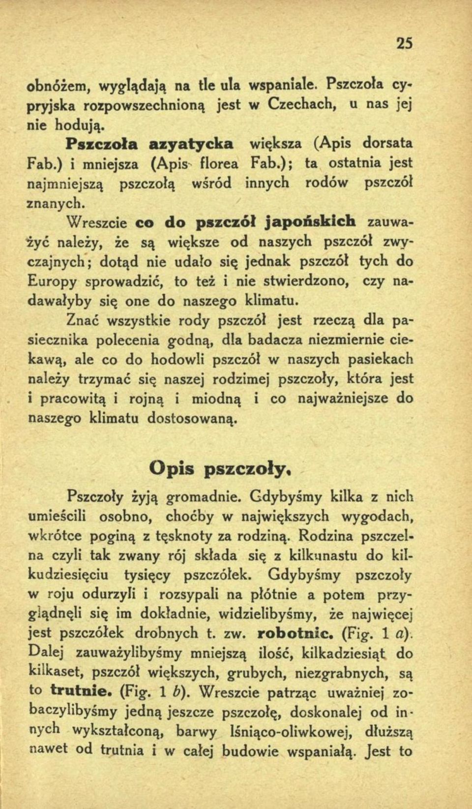 W reszcie co d o p szczó ł ja p o ń sk ich zauważyć należy, że są większe od naszych pszczół zwyczajnych; dotąd nie udało się jednak pszczół tych do Europy sprowadzić, to też i nie stwierdzono, czy