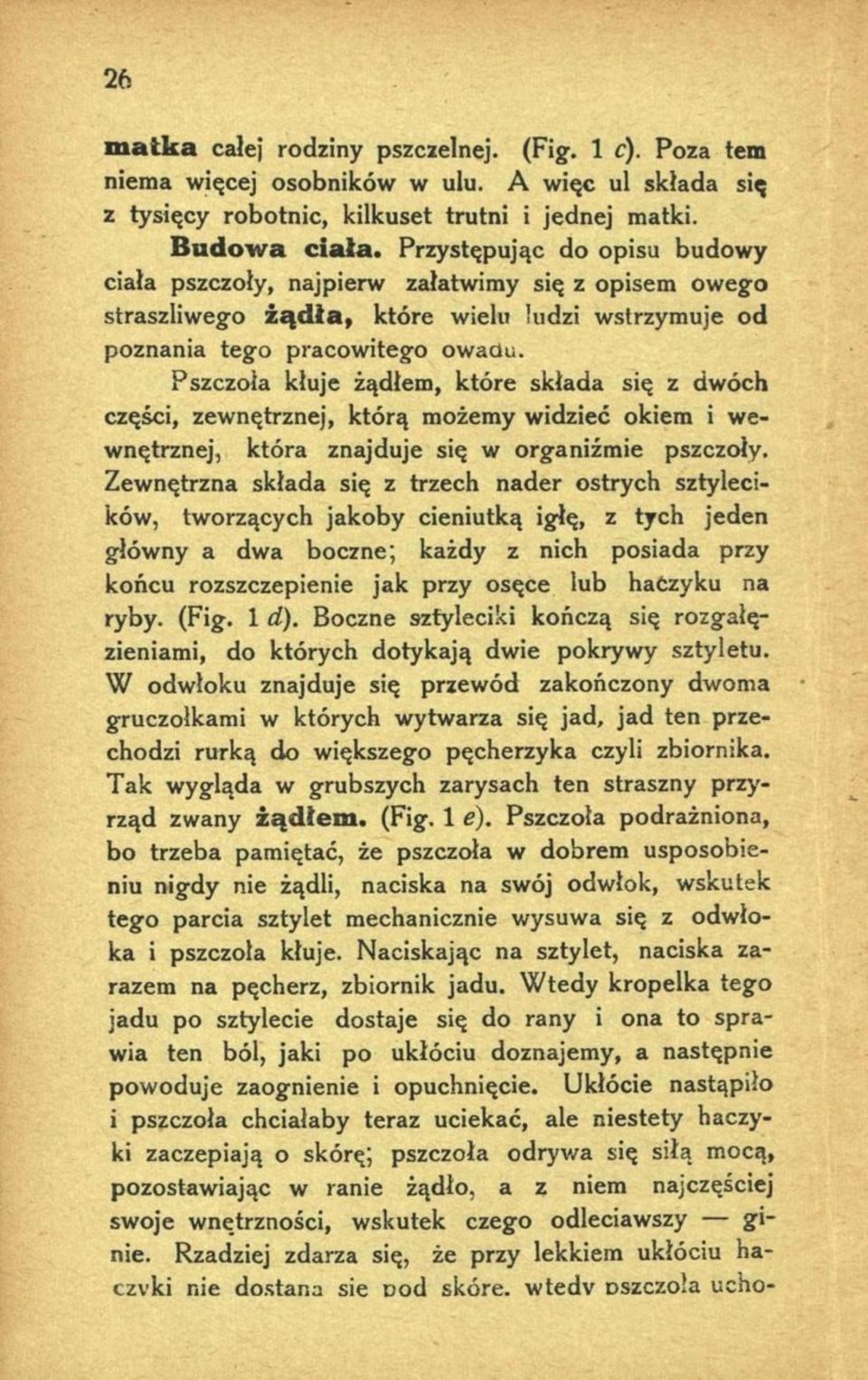 Pszczoła kłuje żądłem, które składa się z dwóch części, zewnętrznej, którą możemy widzieć okiem i wewnętrznej, która znajduje się w organiźmie pszczoły.