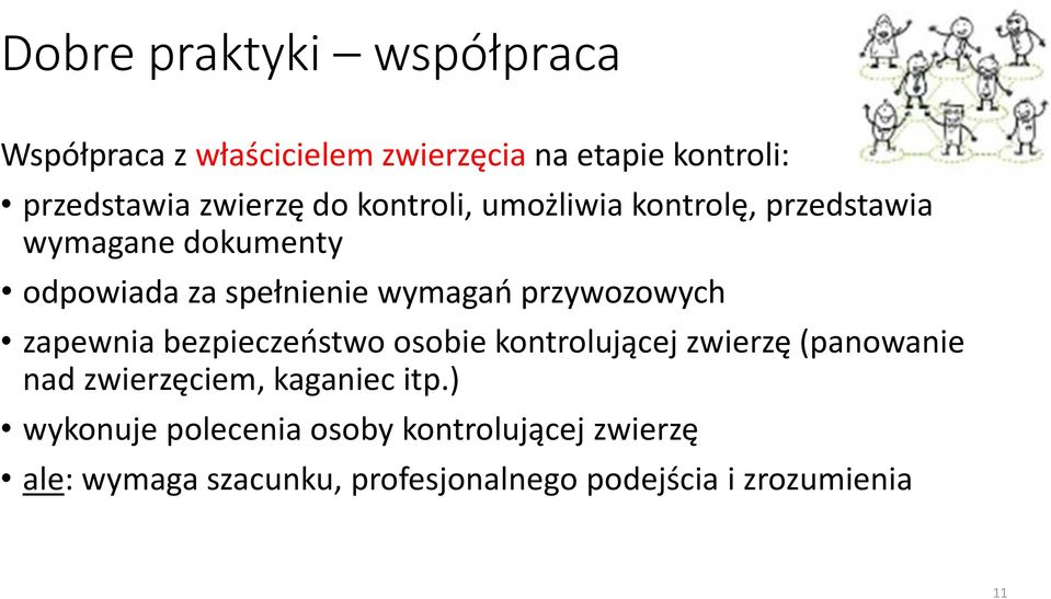 przywozowych zapewnia bezpieczeństwo osobie kontrolującej zwierzę (panowanie nad zwierzęciem, kaganiec