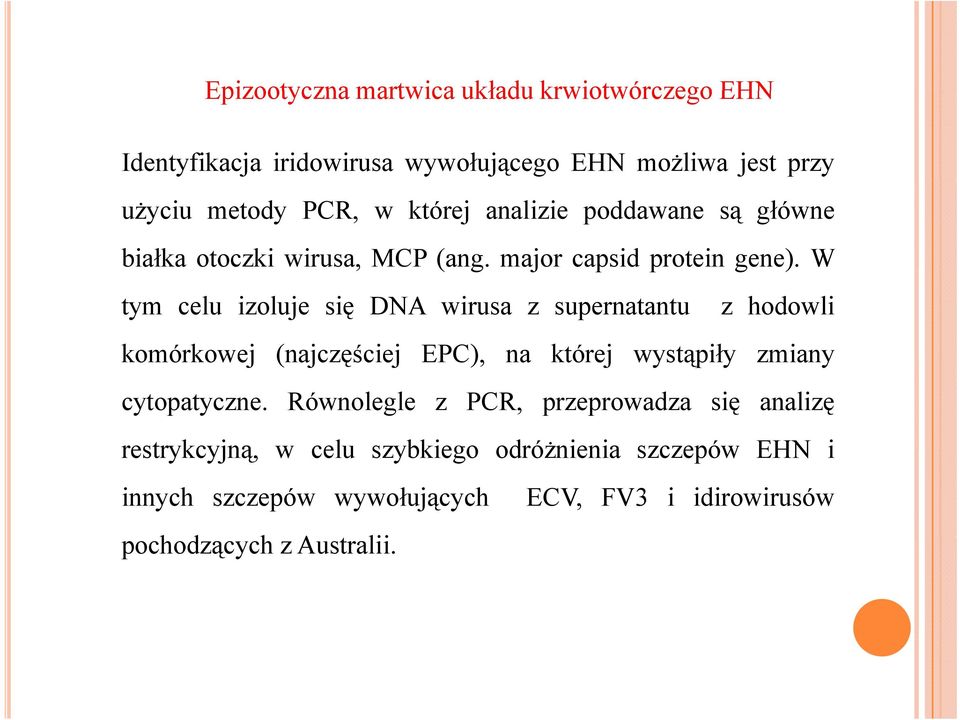 W tym celu izoluje się DNA wirusa z supernatantu z hodowli komórkowej (najczęściej EPC), na której wystąpiły zmiany