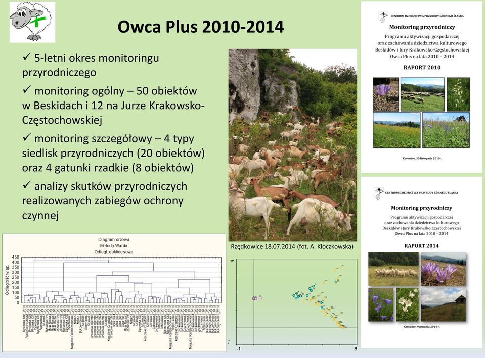 zabiegów ochrony czynnej Owca Plus 2010-2014 Rzędkowice 18.07.2014 (fot. A.