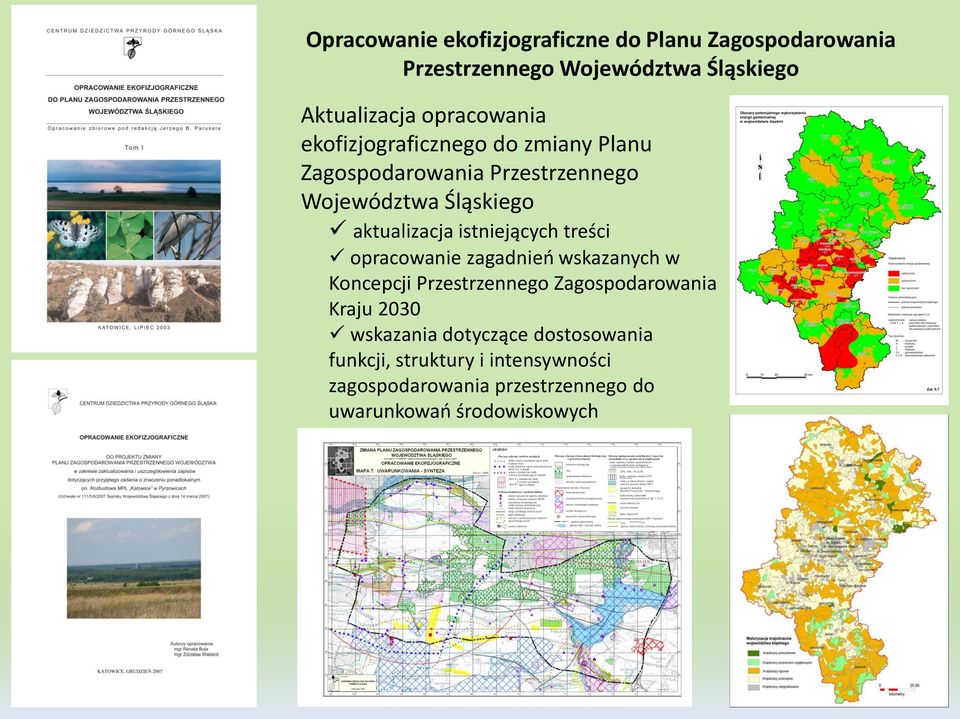 istniejących treści opracowanie zagadnień wskazanych w Koncepcji Przestrzennego Zagospodarowania Kraju 2030