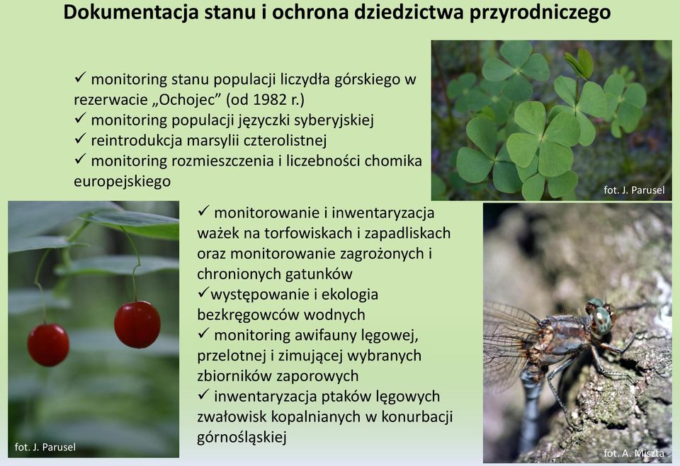 inwentaryzacja ważek na torfowiskach i zapadliskach oraz monitorowanie zagrożonych i chronionych gatunków występowanie i ekologia bezkręgowców wodnych monitoring