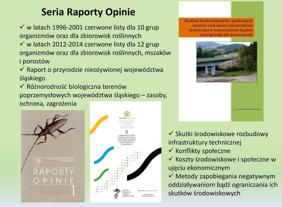biologiczna terenów poprzemysłowych województwa śląskiego zasoby, ochrona, zagrożenia Skutki środowiskowe rozbudowy infrastruktury technicznej