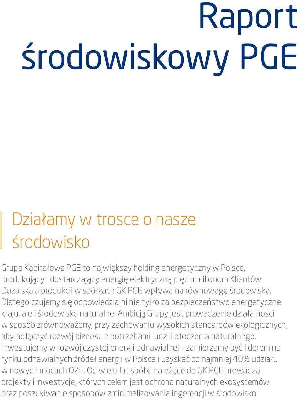 Ambicją Grupy jest prowadzenie działalności w sposób zrównoważony, przy zachowaniu wysokich standardów ekologicznych, aby połączyć rozwój biznesu z potrzebami ludzi i otoczenia naturalnego.